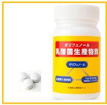 ポリフェノール乳酸菌生産物質